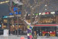 Ubierz drzewo na zimę i pomóż najuboższym