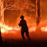 Ubisoft i Bungie zbierają fundusze dla ofiar pożarów w Australii