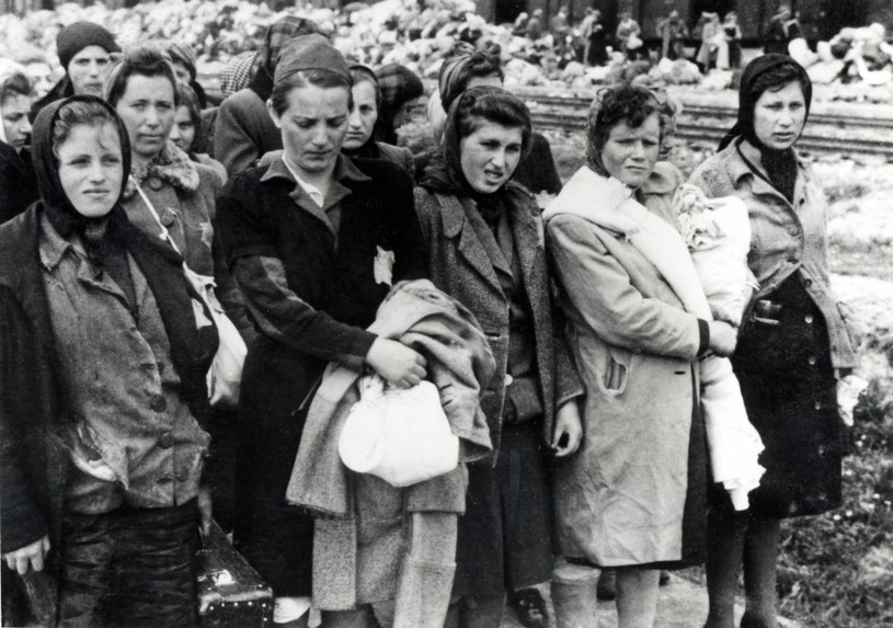 Ubranie w obozie było namiastką godności (zdjęcie kobiet w Auschwitz) /The Bilderwelt Collection / Mar /Agencja FORUM