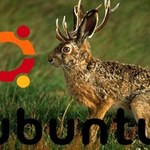 Ubuntu 9.04 -  "Wojowniczy Królik"