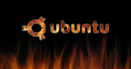 Ubuntu ma swoich wielbicieli /materiały prasowe