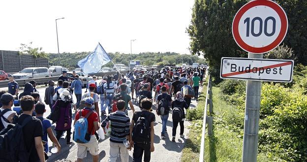 Uchodźcy i migranci ekonomiczni to dwie osobne grupy /EPA