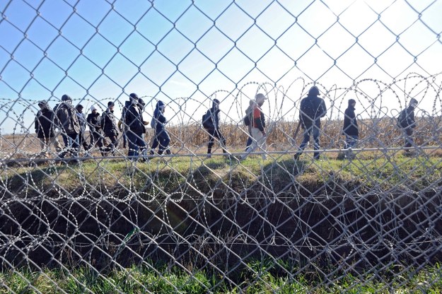 Uchodźcy na terytorium Serbii, sfotografoni zza płota postawionego na granicy Węgier (22 lutego 2016) /ZOLTAN GERGELY KELEMEN /PAP/EPA