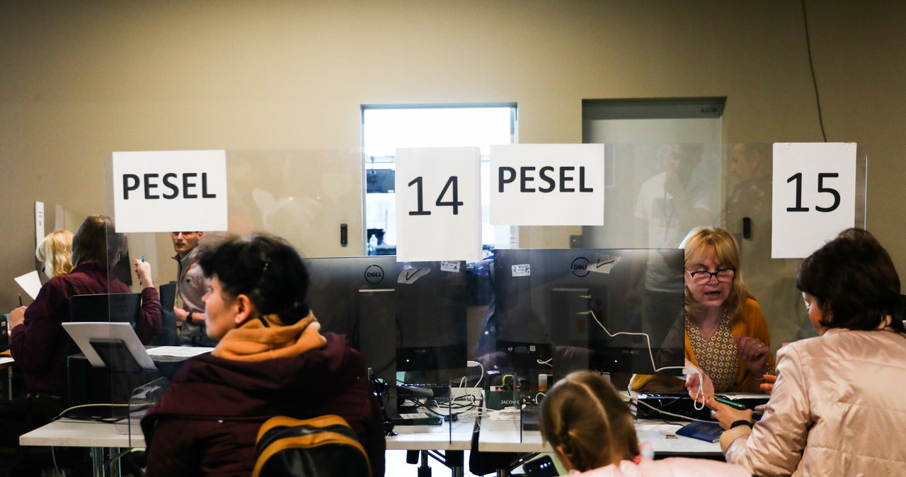 Uchodźcy z Ukrainy podczas składania wniosków o nadanie numeru PESEL. Zdj. ilustracyjne /Beata Zawrzel /Reporter