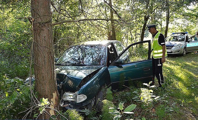 Ucieczka pijanego kierowcy zakończyła się na drzewie /Policja