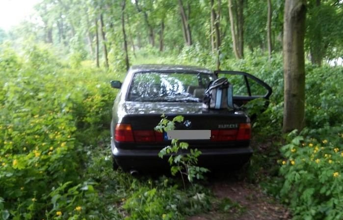Ucieczka pijanego kierowcy zakończyła się w parku /Policja