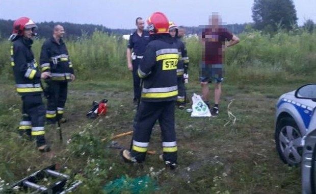 Uciekał przed dzikami. Spędził 4 godziny na drzewie   