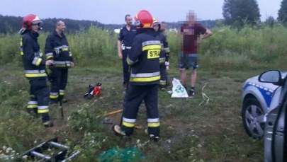 Uciekał przed dzikami. Spędził 4 godziny na drzewie   