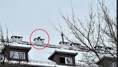 Uciekł przed policjantami na ośnieżony dach