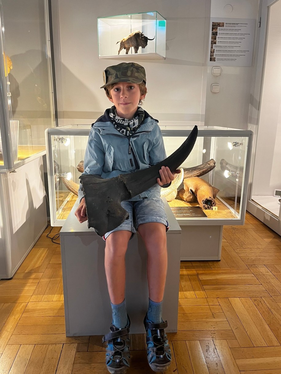 Uczeń 5. klasy szkoły w Zaborowie Marcel Wroński znalazł w wodzie czaszkę wymarłego żubra stepowego. /Muzeum Ziemi w Warszawie /