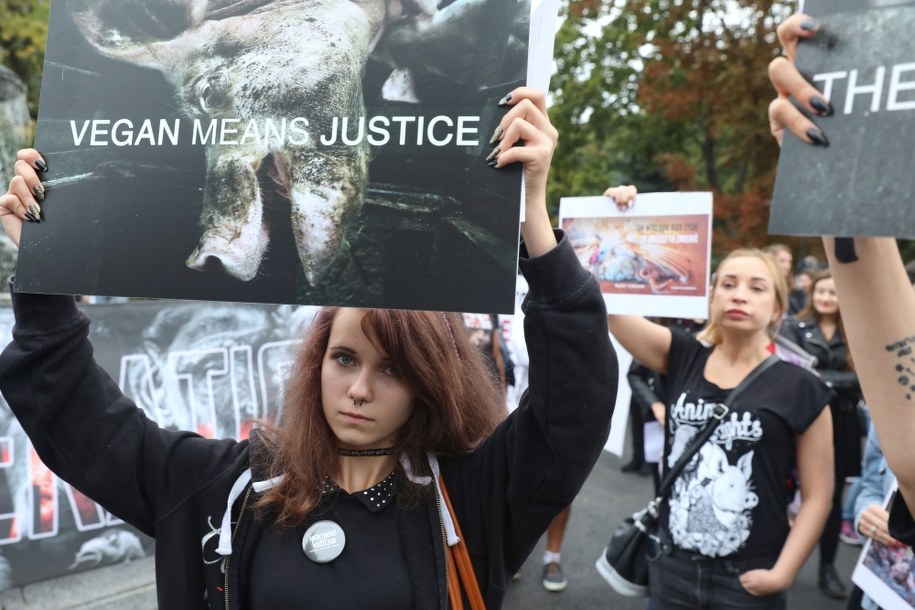 Uczestnicy Marszu na Rzecz Praw Zwierząt /	Tomasz Gzell   /PAP