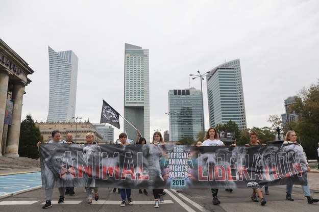Uczestnicy Marszu na Rzecz Praw Zwierząt /	Tomasz Gzell   /PAP