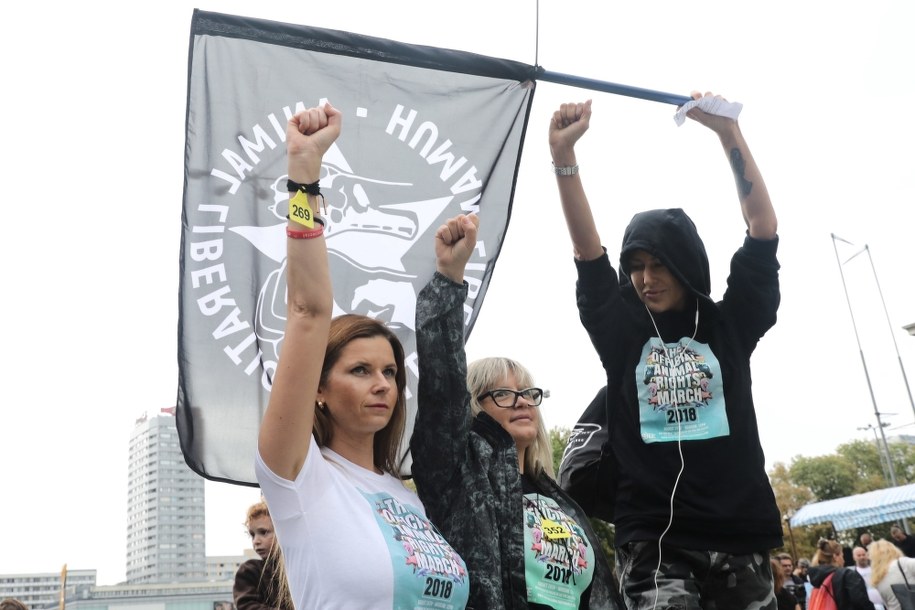 Uczestnicy Marszu na Rzecz Praw Zwierząt /	Tomasz Gzell   /PAP