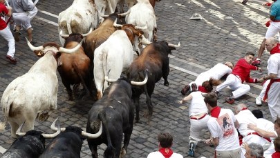 Uczestnik biegu z bykami w Pampelunie wzięty na rogi