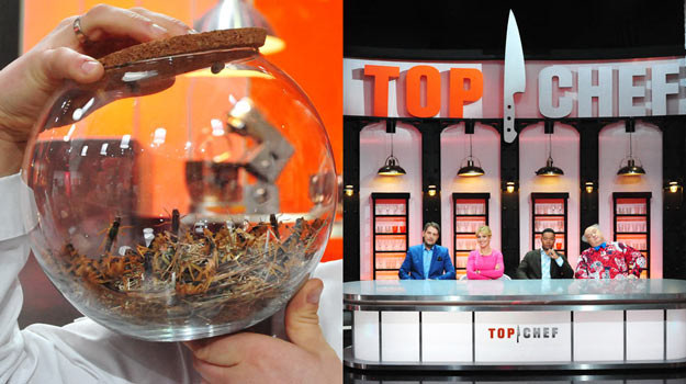 Uczestników "Top Chef" czekają ekstremalne przeżycia. /Polsat