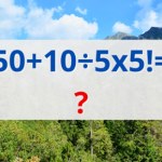 Uczniowie rozwiązują, dorośli mają problem. Wszystko przez jeden szczegół