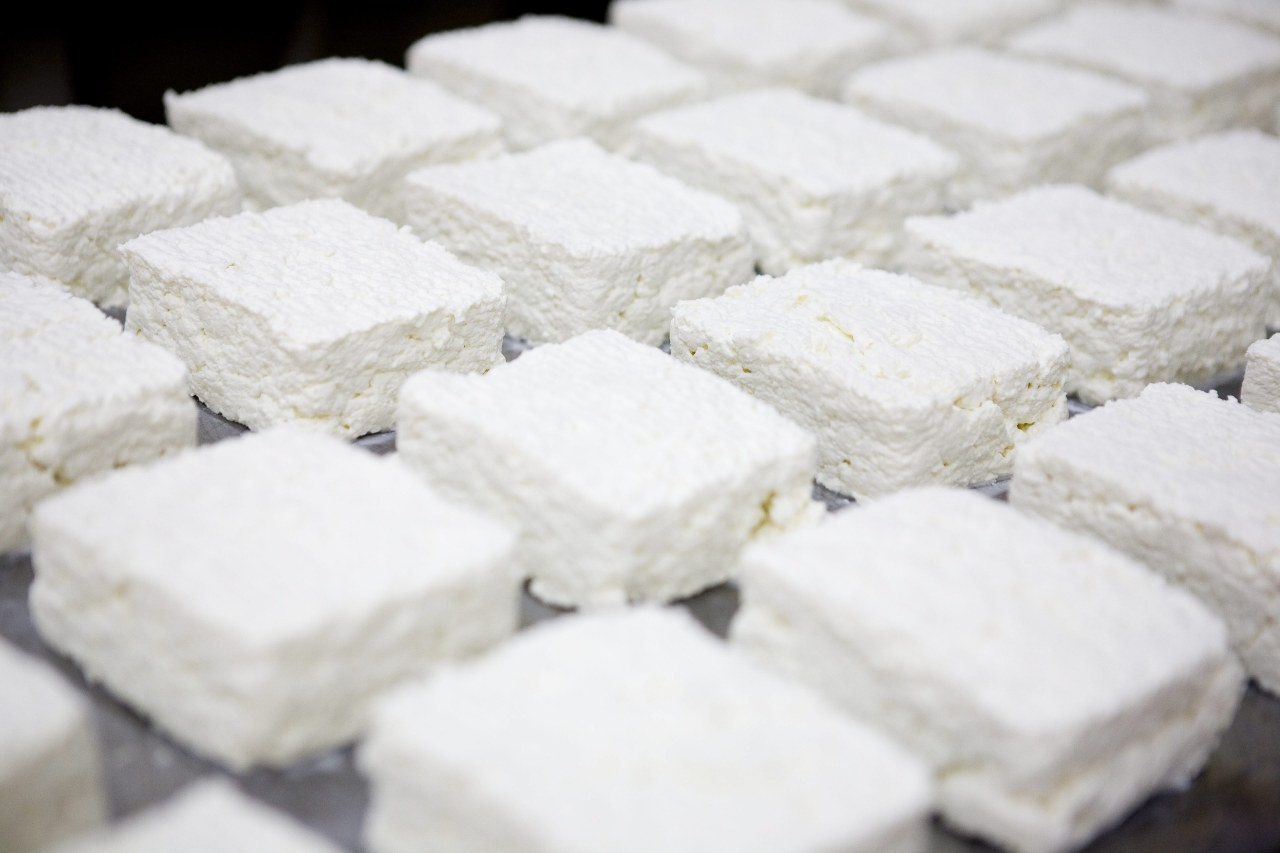 Uczulenie na nabiał? Sprawdź, czym zastąpić jaja, sery i mleko