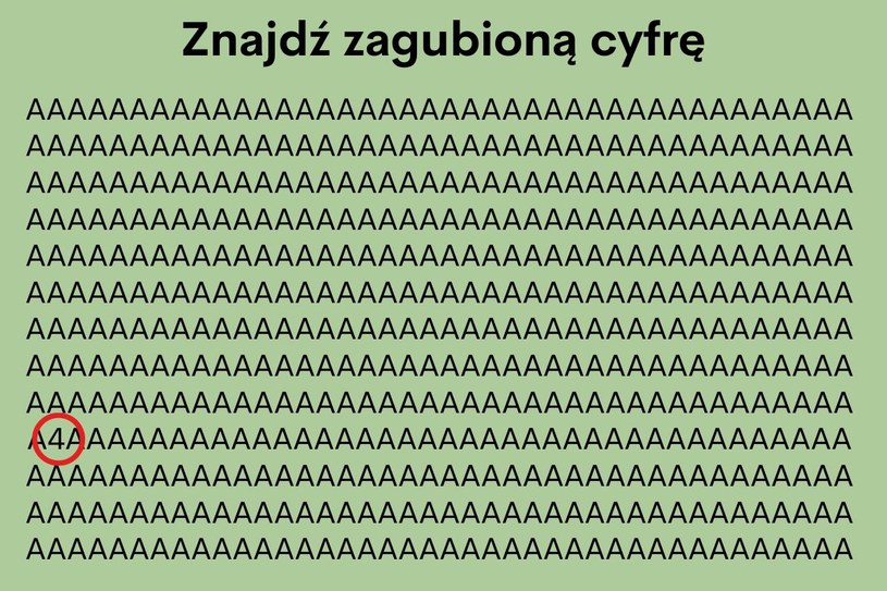 Udało ci się znaleźć niepasujący element? /Joanna Leśniak /Archiwum autora