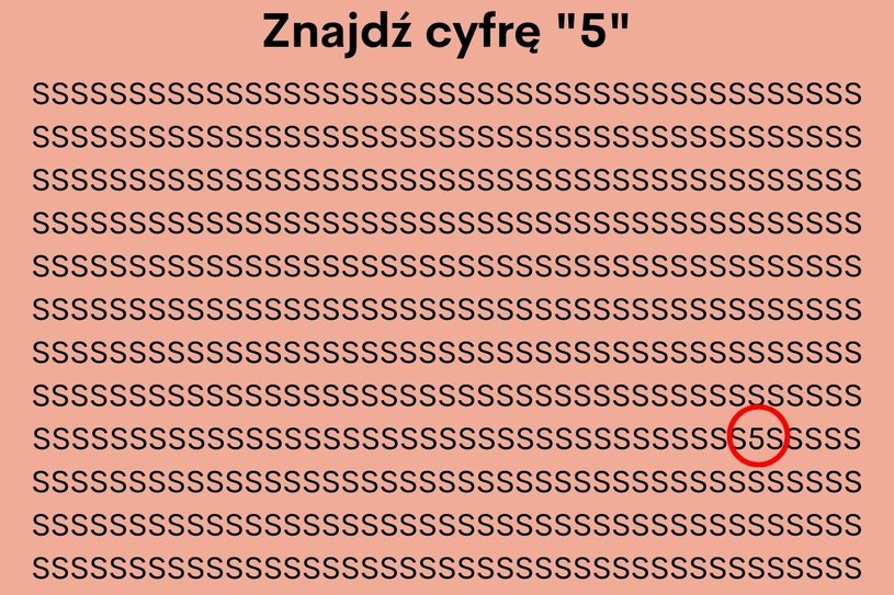 Udało ci się znaleźć rozwiązanie w mniej niż 10 sekund? /Joanna Leśniak /Archiwum autora