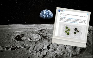 Udało się! Naukowcy po raz pierwszy wyhodowali rośliny na księżycowej glebie