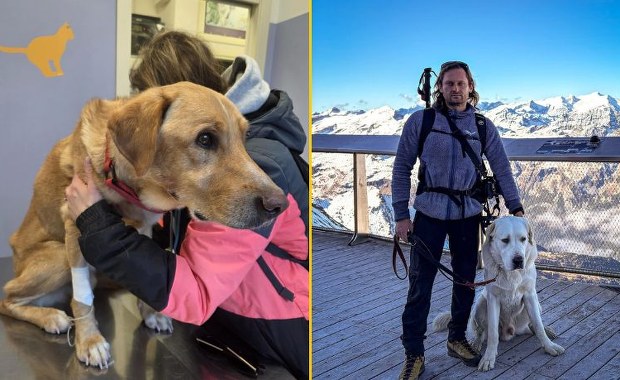 ​Udało się odnaleźć Pirata. To pies zaginionego we Włoszech Polaka