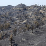 Udało się opanować pożar na Cyprze. „Największa tragedia od kilkudziesięciu lat" 