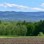 Udało się wywalczyć coś dla przyrody. Aktywiści wygrali z leśnikami