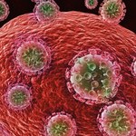 Udane testy pierwszej szczepionki przeciwko wirusowi HIV