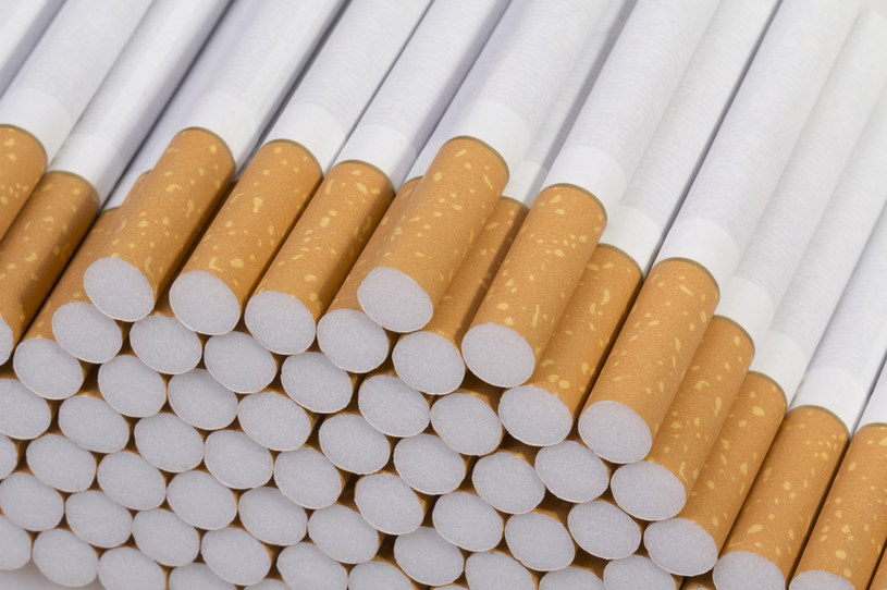 Udaremniono rekordowy przemyt papierosów /123RF/PICSEL