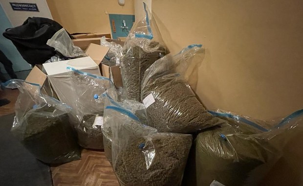 Udawał, że to medyczna marihuana. Sprzedawał narkotyki