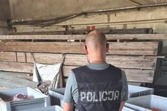 Uderzenie policji w przestępczość narkotykową