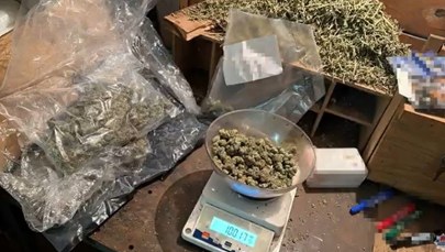 Uderzenie w biznes narkotykowy w Krakowie. Policja przejęła prawie 100 kg zakazanych substancji