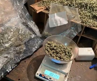 Uderzenie w biznes narkotykowy w Krakowie. Policja przejęła prawie 100 kg zakazanych substancji