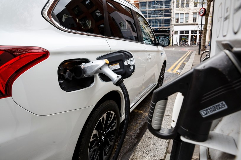 Udział aut elektrycznych w rynku można właściwie pominąć /Getty Images