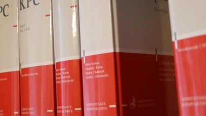 Udzielają jednej porady dziennie. NIK krytycznie o nieodpłatnej pomocy prawnej