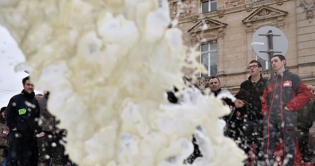 UE ma ogromną podaż mleka /AFP