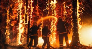 UE przygotowuje się na falę pożarów lasów. Najambitniejszy plan w historii