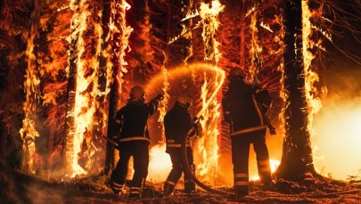 UE przygotowuje się na falę pożarów lasów. Najambitniejszy plan w historii