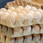 UE przywróciła cła na import jaj i cukru z Ukrainy