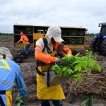 UE zignoruje Francję ws. Mercosur? Oto co usłyszał prezydent Brazylii