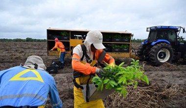 UE zignoruje Francję ws. Mercosur? Oto co usłyszał prezydent Brazylii
