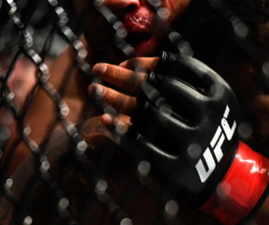 UFC 4 jeszcze w tym roku. Będzie nowa gra esportowa?
