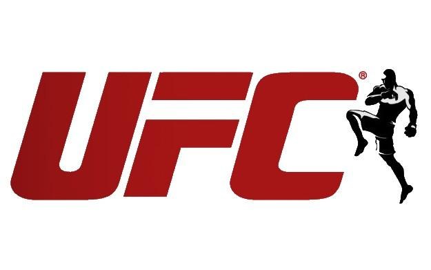 UFC Personal Trainer - logo /Informacja prasowa