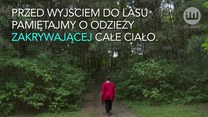 Ugryzienie kleszcza grozi nie tylko boreliozą