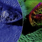 Ujawnili sekrety wojny secesyjnej. Niewiarygodne zdjęcia z dna oceanu