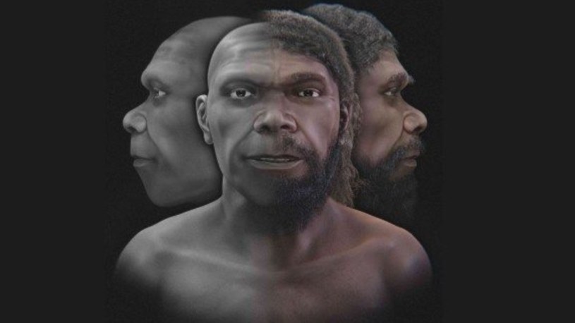 Ujawnili twarz najstarszego człowieka w historii. Badacze zdumieni