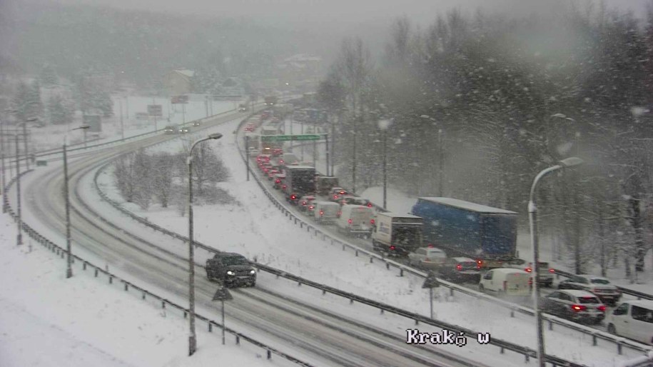 Ujęcie z kamery GDDKiA w Głogoczowie. Korek na jezdni w stronę Krakowa /GDDKiA