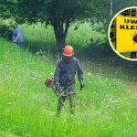 Ukąszenie przez kleszcza może być wypadkiem przy pracy. W takich sytuacjach ZUS wypłaci pieniądze