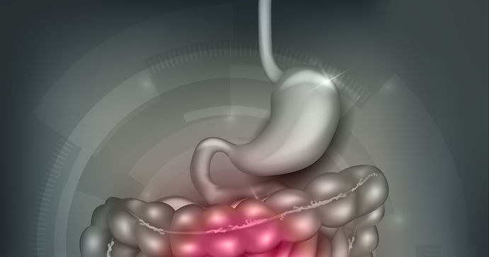 Układ pokarmowy /&copy;123RF/PICSEL