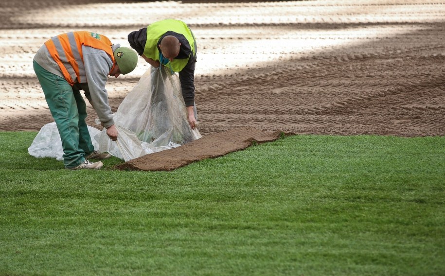 Układanie nowej murawy na Stadionie Narodowym /Rafał Guz /PAP